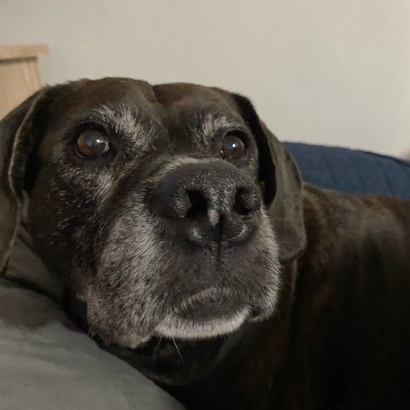 Hello beautiful peeps!👋🏻 - Picture 2 of 5